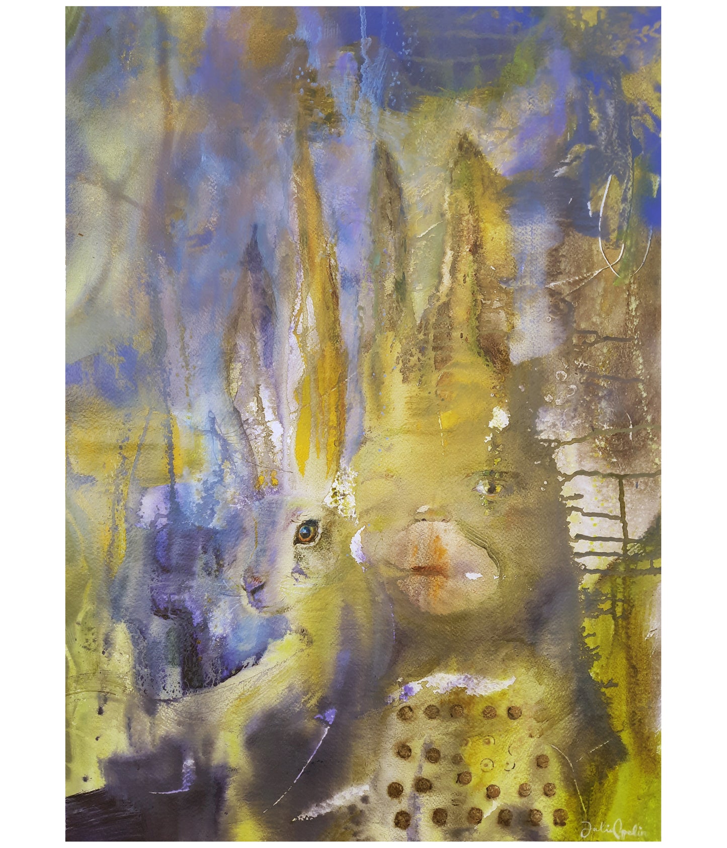 Hare and the boy