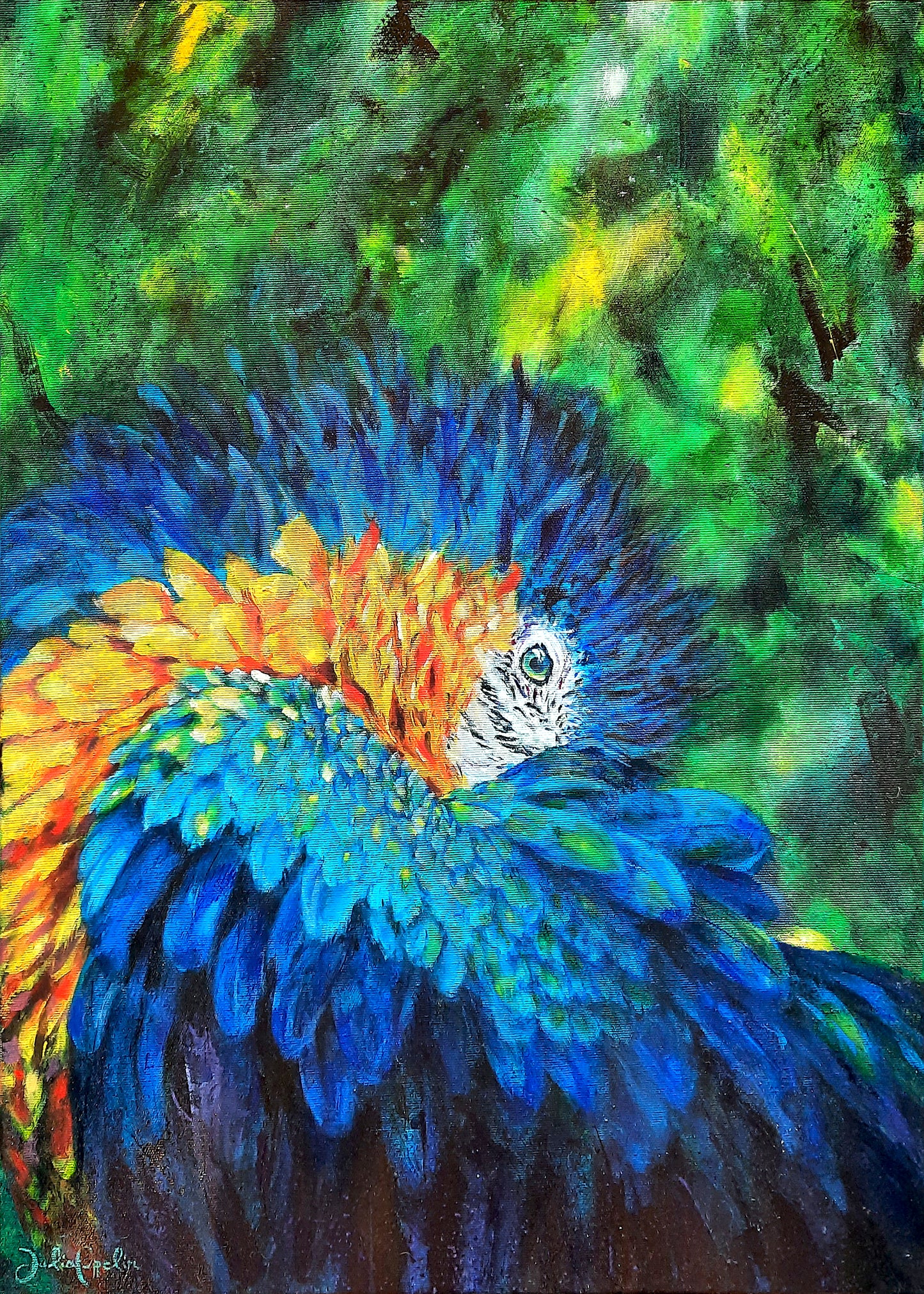 Macaw
