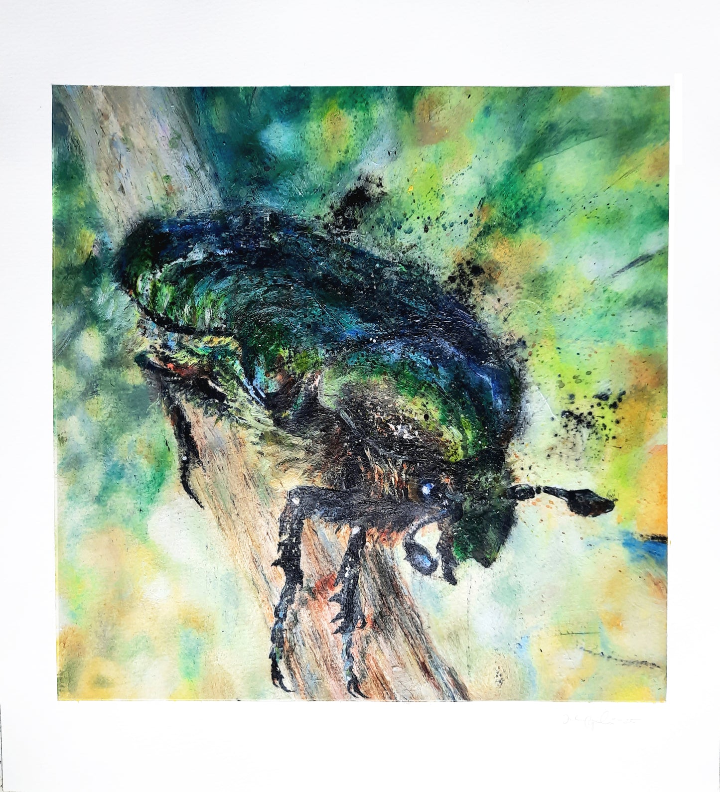 Rose Chafer