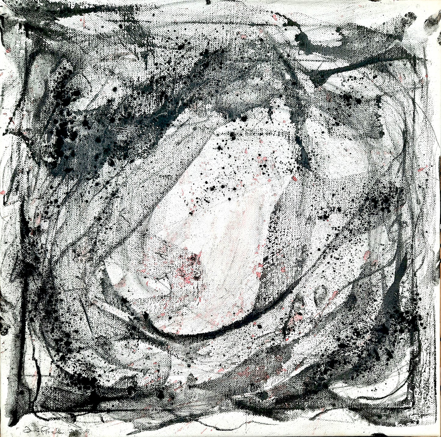Veils in the Womb