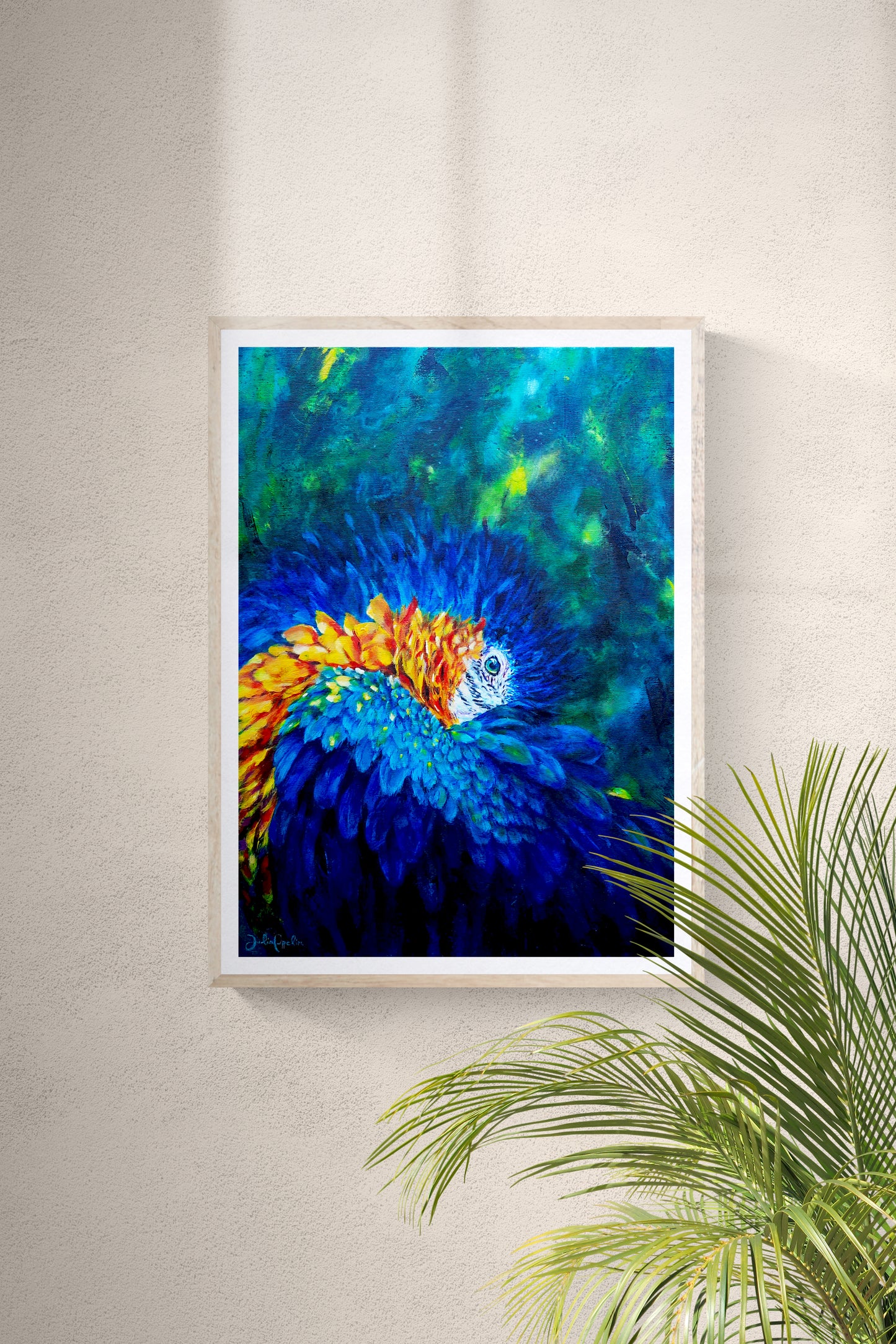 Macaw
